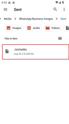 Vérifier les fichiers masqués du fichier nomedia