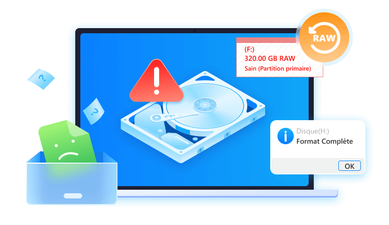 Récupération de Disque Dur