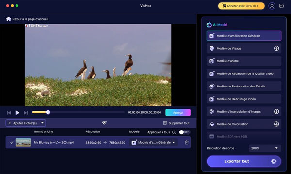 Choisir un modèle VidHex