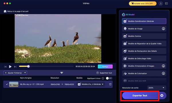 Commencer à améliorer avec VidHex