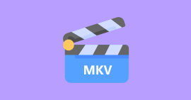 Lecteurs MKV faciles de lire MKV