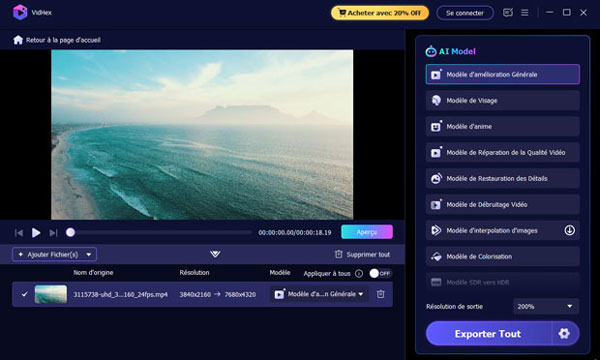 Choisir un modèle VidHex