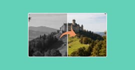 Coloriser une vidéo noir et blanc