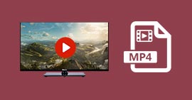 Guide complet pour lire MP4 sur TV